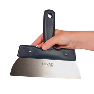 Stainless Steel Scraper with Plastic Handle (Small)